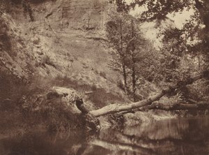 Brzeg rzeki, ok. 1855 (zdjęcie)