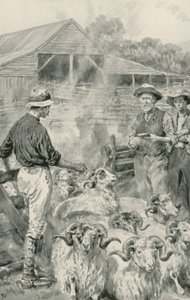 Stacja dla owiec na równinach Canterbury autorstwa Frank Dadd