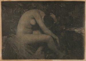 Cykada