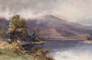 Nowa Zelandia: Waikato w Ngaruawahia (kolorowa litografia)