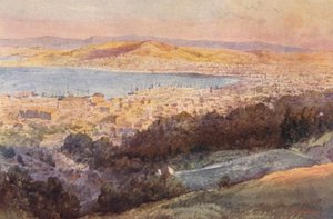Nowa Zelandia: Wellington (druk kolorowy) autorstwa Frank H Wright