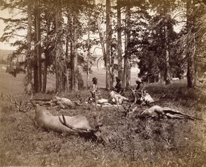 Łowcy łosi, Yellowstone, ok.1880 (srebrodruk albumu)