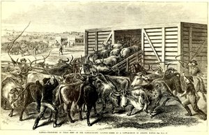 Zjeżdżalnia dla bydła w Abilene, Kansas, ok. 1930 r. 1871 (grawerowanie)