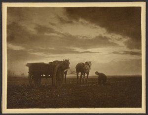  autorstwa Frank Meadow Sutcliffe