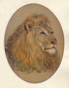 Głowa Lwa, c1896