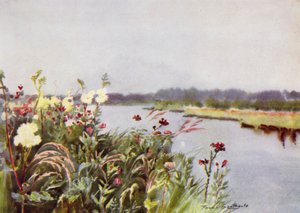 Norfolk Broads: Bure Bank (kolor lito)
