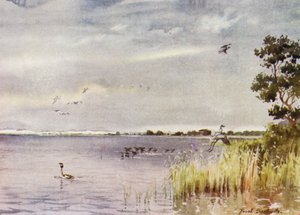 Norfolk Broads: Horsey Mere autorstwa Frank Southgate
