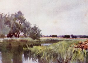Norfolk Broads: Bagienne siano — wóz na Yare autorstwa Frank Southgate