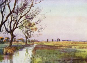 Norfolk Broads: bagna w pobliżu Barton (kolor lito)