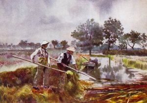 Norfolk Broads: Zbieranie chwastów przez marshmenów autorstwa Frank Southgate