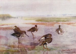 Norfolk Broads: Redshank (kolor lito) autorstwa Frank Southgate
