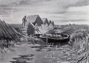 Norfolk Broads: układanie trzciny (lito) autorstwa Frank Southgate