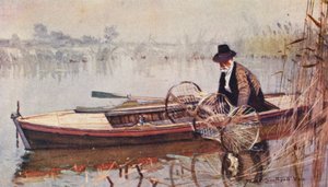 Wild Life in East Anglia: Ustawianie sieci łuczniczej (kolorowa litografia) autorstwa Frank Southgate