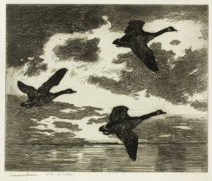 Pochmurny poranek autorstwa Frank Weston Benson
