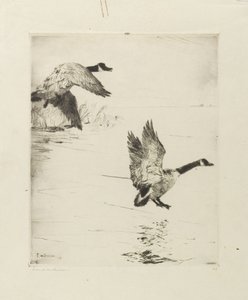 Gęsi wysiadają autorstwa Frank Weston Benson