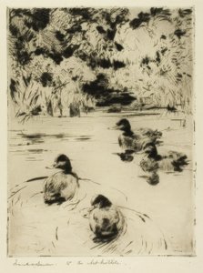 Małe ptaszki autorstwa Frank Weston Benson