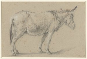 Stojący osioł, zwrócony w prawo autorstwa François Boucher (possibly)