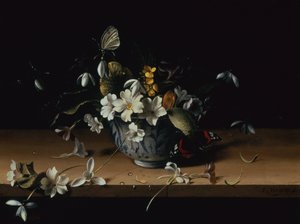 Kwiaty w niebiesko-białej chińskiej misce porcelanowej z czerwonym motylem admirałem na drewnianej półce (olej na panelu) autorstwa François Habert