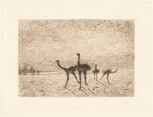 Strusie na pustyni autorstwa François Nicolas Auguste Feyen Perrin