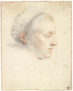 Profilowy portret damy (czarno-czerwone kredki z gwaszem na papierze) autorstwa Frans II Pourbus