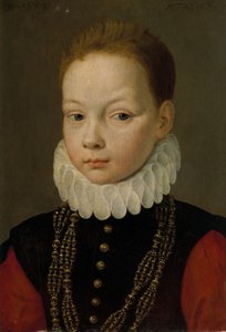 Portret dziewięcioletniego chłopca autorstwa Frans I Pourbus