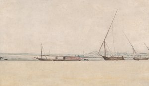 Tropikalny krajobraz wybrzeża, XVII wiek. autorstwa Frans Post.