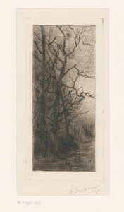 Drzewa nad wodą autorstwa Frans Smissaert (signed by artist)