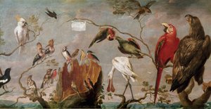 Koncert Ptaki Obraz Fransa Snydersa (Snijders) (1579-1657) Madryt XVII w., Muzeum Prado