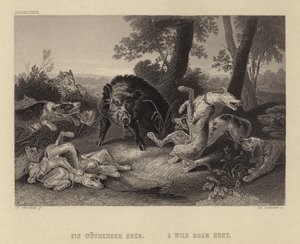 Polowanie na dziki autorstwa Frans Snyders or Snijders