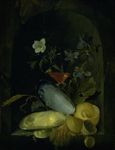 Martwa natura z muszelkami i ukwiałami autorstwa Frans van I Mieris