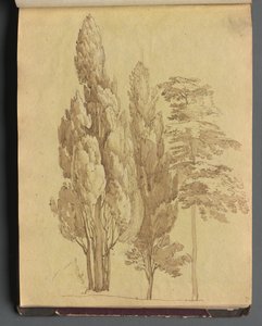 Album z Widokami Rzymu i okolic, Studia krajobrazowe, strona 15a: Drzewa autorstwa Franz Johann Heinrich Nadorp