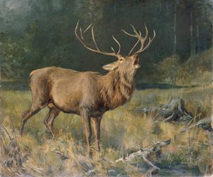 Brązowy jeleń autorstwa Franz Xaver von Pausinger