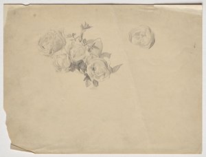 Studium Rosen autorstwa Franz von Matsch