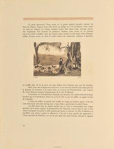 Korfu. Gaj oliwny autorstwa Frédéric Boissonnas
