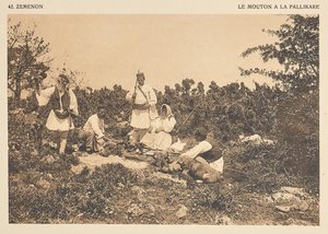 Zemenon. Owce w Pallikare autorstwa Frédéric Boissonnas