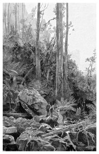 Wąwóz w Górach Błękitnych, Australia, 1886.