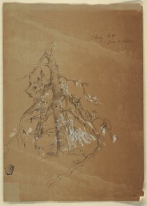 Sękaty Evergreen, Grand Manan, Kanada autorstwa Frederic Edwin Church