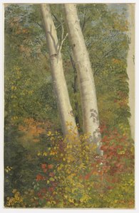 Brzozy jesienią autorstwa Frederic Edwin Church
