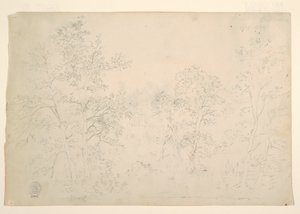 Kasztanowce na skraju wody autorstwa Frederic Edwin Church