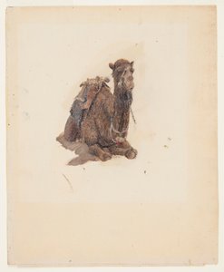 Przyczajony dromader autorstwa Frederic Edwin Church