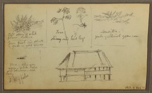 Rysunek, Fort; Verso: Szkice botaniczne, Dom, 1857 r. autorstwa Frederic Edwin Church