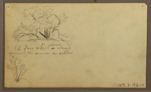Rysunek, Chata na słupach, Guayaquil, Ekwador, maj 1857 r. autorstwa Frederic Edwin Church