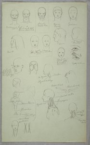Rysunek, badania anatomiczne, 1865-70 autorstwa Frederic Edwin Church