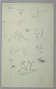Rysunek, badania anatomiczne, 1865-70 autorstwa Frederic Edwin Church