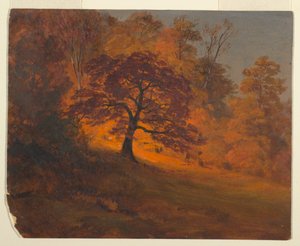 Rysunek, Jesienne liście, 1867 r. autorstwa Frederic Edwin Church