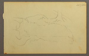 Rysunek, Podstawa drzewa, głazy, 1844 r. autorstwa Frederic Edwin Church