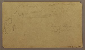 Rysunek, Szkice botaniczne; Verso: Chmury, lipiec 1865 r. autorstwa Frederic Edwin Church