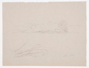 Rysunek, Szkice botaniczne: krajobraz, drzewa na brzegu, wrzesień 1876 r. autorstwa Frederic Edwin Church
