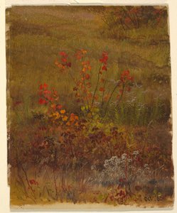 Rysunek, studia botaniczne, październik 1865 r. autorstwa Frederic Edwin Church