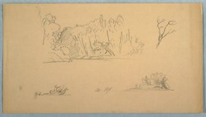 Rysunek, Szkice botaniczne: drzewo, drzewa na brzegu, wrzesień 1876 r. autorstwa Frederic Edwin Church